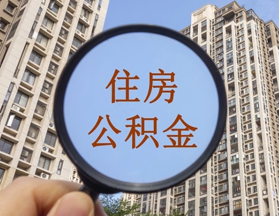 庆阳退休后查不到公积金明细了吗（退休后公积金查询不到原因）